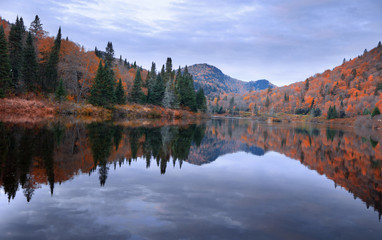Autumn landscape in Parc de la national  Jacques Cartier