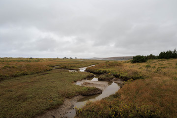 Small river curves through coastal wetlands in Point Reyes National Seashore