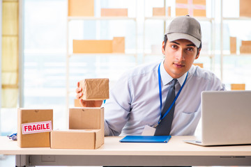 Male employee working in box delivery relocation service
