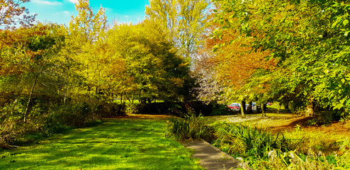 autumn walk