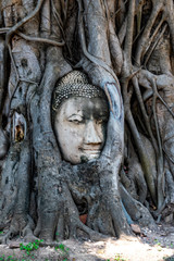 Ayutthaya, tempel, UNESCO