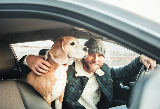 Man traveling with his beagle dog by auto