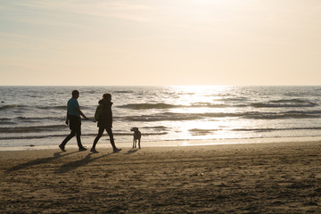 couple walking the dog at the beach with low sun in the background