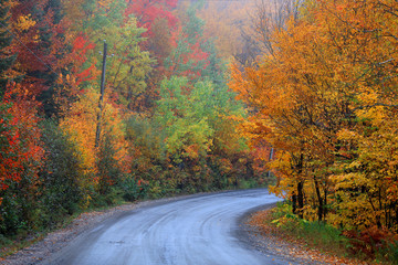 Fototapeta premium Scenic road through Quebec countryside in autumn time