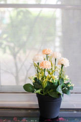 cute flower pot near by window