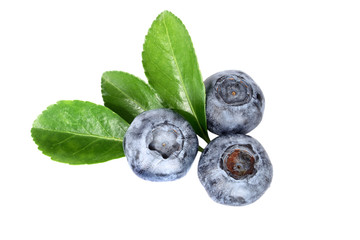 Blueberries isolated on white background

