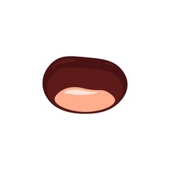 Chestnut, buckeye nut. Autumn vector object isolated on white