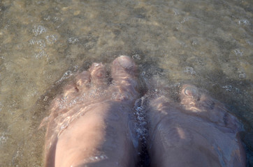 summer time at the baltic sea