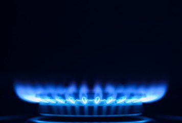 Gas Flame on a cooker hob, close up