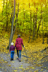 Fototapeta premium Mom and son walking in the autumn forest. Back view
