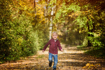Blond boy in a plaid shirt runs down the autumn alley.