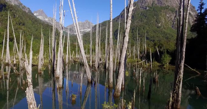 Aerial view of the Tagua Tagua park and its diverse geography, with forests, mountains, lagoons and waterfalls
