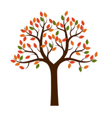 Naklejka na ściany i meble Color shape of Autumn Tree. Vector Illustration.