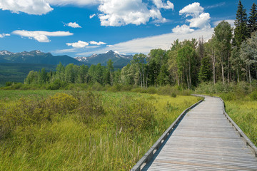 Fototapeta na wymiar Boardwalk in Cranberry Marsh Park, Valemount, British Columbia, Canada