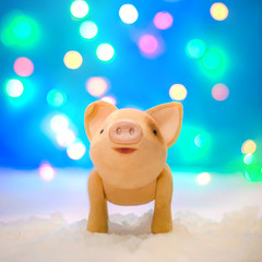 Cute pig on a magical Christmas background
