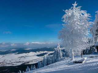 schneebedeckte Winterlandschaft