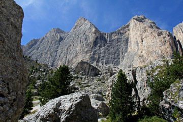 la parete nera e le cime del Catinaccio; Dolomiti di Fassa