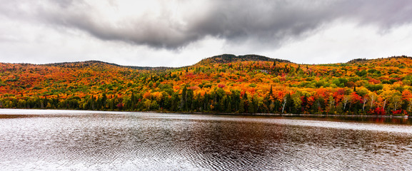 Fall colors of Lac Legault with Mont Kaaikop in the background, in cottage country in the Laurentians, Quebec, Canada. - 231418956