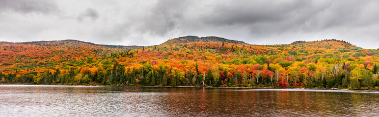 Fall colors of Lac Legault with Mont Kaaikop in the background, in cottage country in the Laurentians, Quebec, Canada. - 231419741
