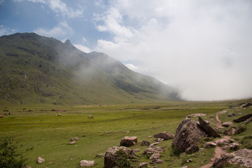 paisaje natural con cielo