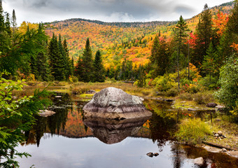 Fall colors of Lac Legault with Mont Kaaikop in the background, in cottage country in the Laurentians, Quebec, Canada. - 231420165