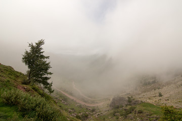 paisaje natural con cielo
