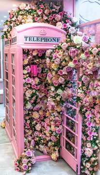 pink phone booth  and colourful flowers  in London