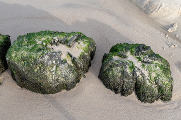 Old breakwater bollards on the sea beach. Coast in central europe.