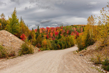 Fall scene in the Quebec cottage country with golden leaves and fall colors.