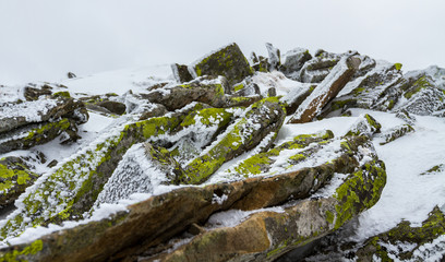 Iced moss-covered rocks under a thin layer of snow and ice.