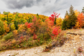 Naklejka premium Fall scene in the Quebec cottage country with golden leaves and fall colors.