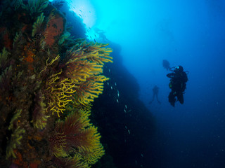 submariner under the ocean