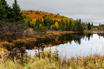 Fall scene in the Quebec cottage country with golden leaves and fall colors.