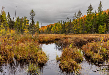 Fall colors in cottage country in the Laurentians, Quebec, Canada.