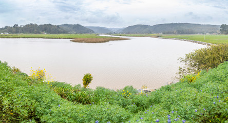 Taucu river mouth on the way to exit to the Pacific Ocean, an amazing landscape view surrounded by trees and the mist coming from the sea called 
