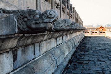 Dragon statue details in the Forbidden City of Beijing, China