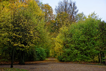 autumn day in a deserted Park