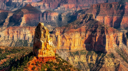 Late Afternoon Sun on Point Imperial, North Rim Grand Canyon National Park