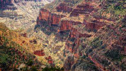 Coconino Overlook Looking down on the North Kaibab Trail - North Rim Grand Canyon