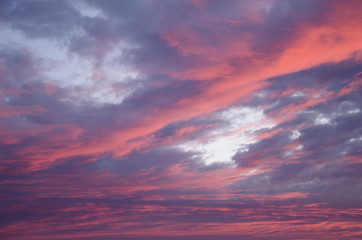 pink clouds in the sky illuminated by sunrise