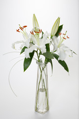 Lillies on White