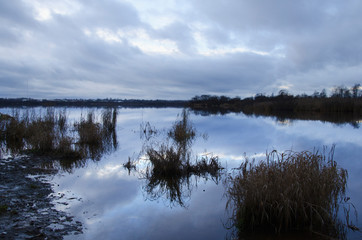 off-season, cold swamp landscape in autumn twilight
