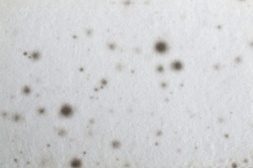 old sheet of paper stained with gray mold