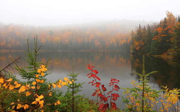 Misty Landscape Near Mont Tremblant In Quebec