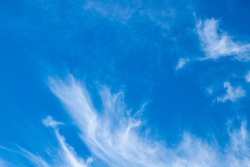 Blue sky with white cloud. Thin cirrus cloud on blue. Skyscape abstract photo. Optimistic sunny sky view