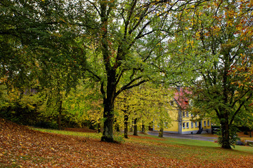 Naklejka premium autumn day in a deserted Park
