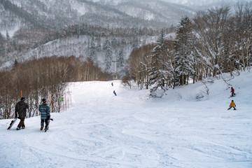 北海道のスキー場 / 北海道札幌市の観光イメージ