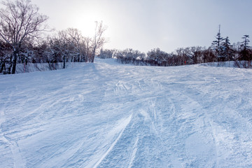 北海道のスキー場 / 北海道札幌市の観光イメージ