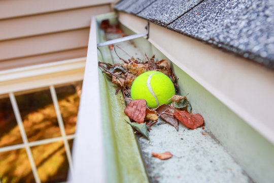 Image of a tennis ball stuck in gutter on a roof