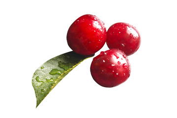 Cherry, fruit of sweets, berry isolated on white background close-up, clipping path